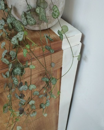 Meuble classeur vintage