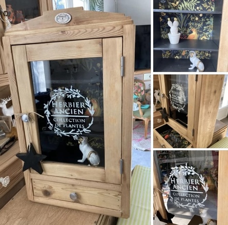 Armoire à pharmacie / vitrine CABINET DE CURIOSITÉS 