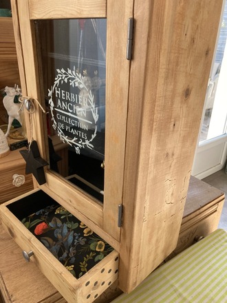 Armoire à pharmacie / vitrine CABINET DE CURIOSITÉS 