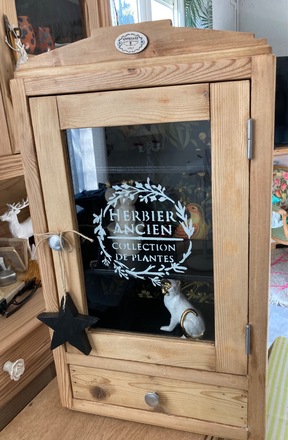 Armoire à pharmacie / vitrine CABINET DE CURIOSITÉS 