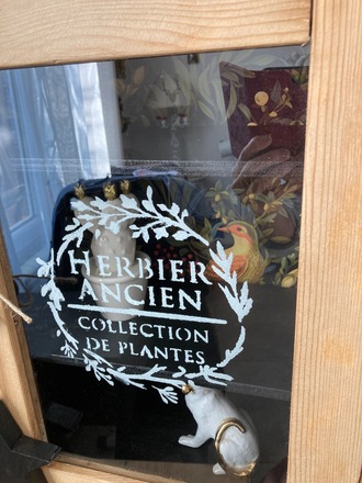 Armoire à pharmacie / vitrine CABINET DE CURIOSITÉS 