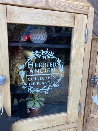 Armoire à pharmacie / vitrine CABINET DE CURIOSITÉS 