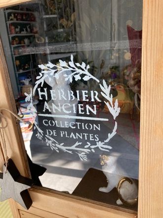 Armoire à pharmacie / vitrine CABINET DE CURIOSITÉS 