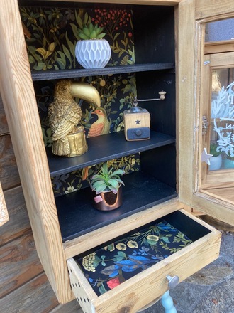 Armoire à pharmacie / vitrine CABINET DE CURIOSITÉS 