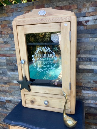 Armoire à pharmacie / vitrine CABINET DE CURIOSITÉS 