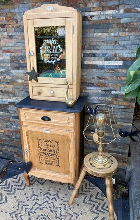 Armoire à pharmacie / vitrine CABINET DE CURIOSITÉS 