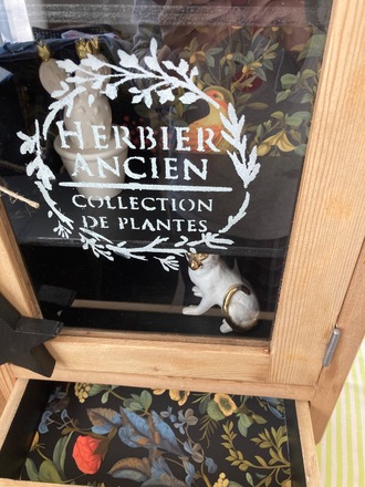 Armoire à pharmacie / vitrine CABINET DE CURIOSITÉS 