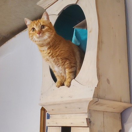 Alibert l'horloge arbre à chat