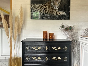 Vente avec paiement en ligne: Commode galbée en merisier noir brillant