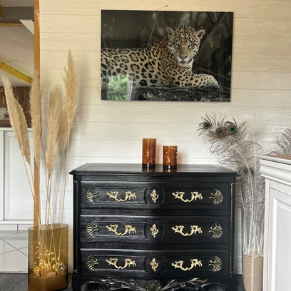 Vente avec paiement en ligne: Commode galbée en merisier noir brillant