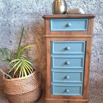 Vente avec paiement en ligne: Meuble de rangement chêne verni bleu